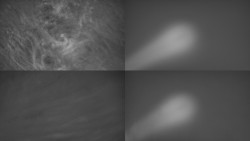 Sdružený snímek Bludný