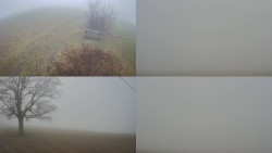 Sdružený snímek Bludný