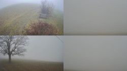 Sdružený snímek Bludný