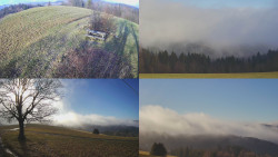 Sdružený snímek Bludný