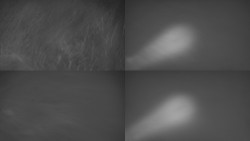 Sdružený snímek Bludný