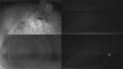 Sdružený snímek Bludný