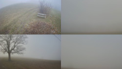 Sdružený snímek Bludný