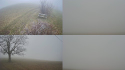 Sdružený snímek Bludný