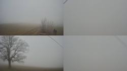 Sdružený snímek Bludný