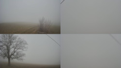 Sdružený snímek Bludný