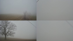 Sdružený snímek Bludný