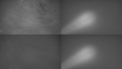 Sdružený snímek Bludný