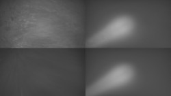 Sdružený snímek Bludný