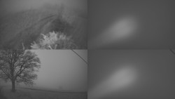 Sdružený snímek Bludný