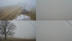 Sdružený snímek Bludný