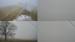 Sdružený snímek Bludný