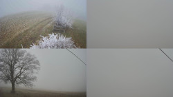 Sdružený snímek Bludný