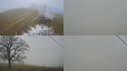 Sdružený snímek Bludný