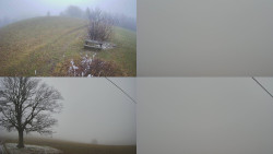 Sdružený snímek Bludný