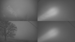 Sdružený snímek Bludný