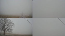 Sdružený snímek Bludný