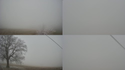 Sdružený snímek Bludný