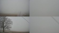 Sdružený snímek Bludný