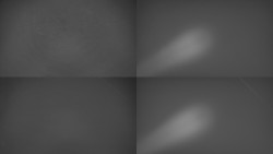 Sdružený snímek Bludný