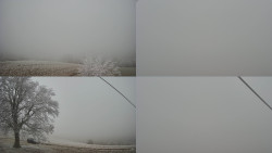 Sdružený snímek Bludný