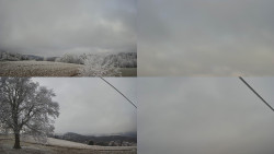 Sdružený snímek Bludný