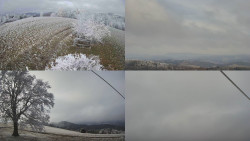 Sdružený snímek Bludný