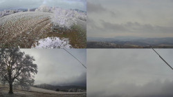 Sdružený snímek Bludný