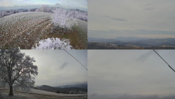 Sdružený snímek Bludný