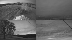 Sdružený snímek Bludný