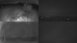 Sdružený snímek Bludný