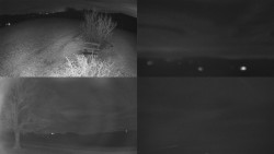 Sdružený snímek Bludný