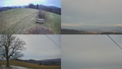 Sdružený snímek Bludný