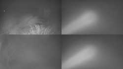 Sdružený snímek Bludný