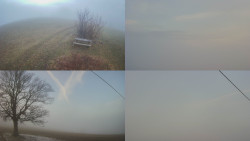 Sdružený snímek Bludný