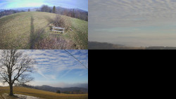 Sdružený snímek Bludný