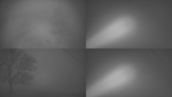 Sdružený snímek Bludný