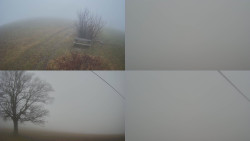 Sdružený snímek Bludný