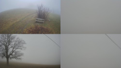 Sdružený snímek Bludný