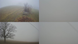 Sdružený snímek Bludný