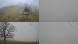 Sdružený snímek Bludný