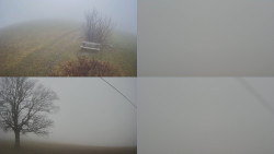 Sdružený snímek Bludný