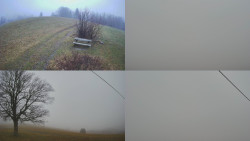 Sdružený snímek Bludný