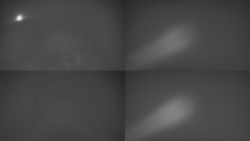 Sdružený snímek Bludný