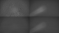 Sdružený snímek Bludný