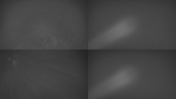 Sdružený snímek Bludný