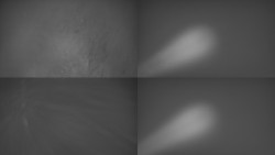 Sdružený snímek Bludný