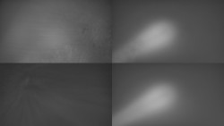 Sdružený snímek Bludný