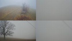 Sdružený snímek Bludný