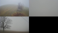 Sdružený snímek Bludný